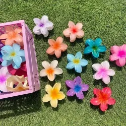 Lovely Hawaii Flower Small Hair Clips